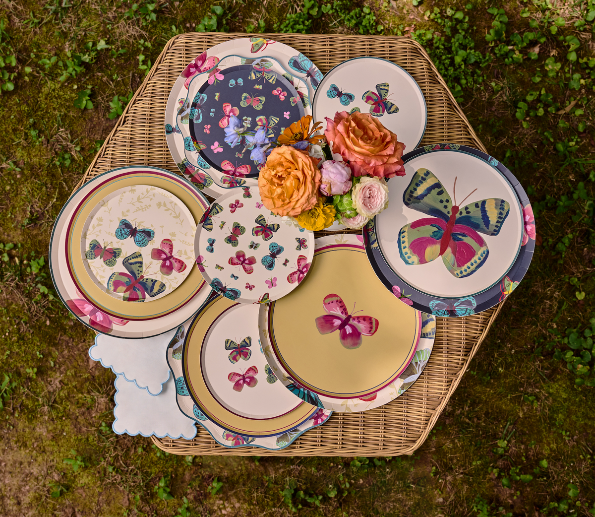 The Butterfly Collection