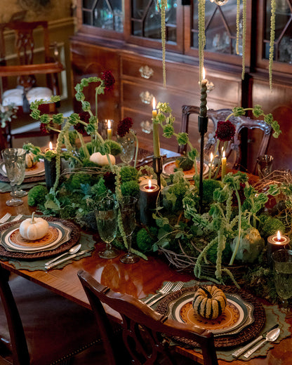 Hibiscus Placemat in Forest
