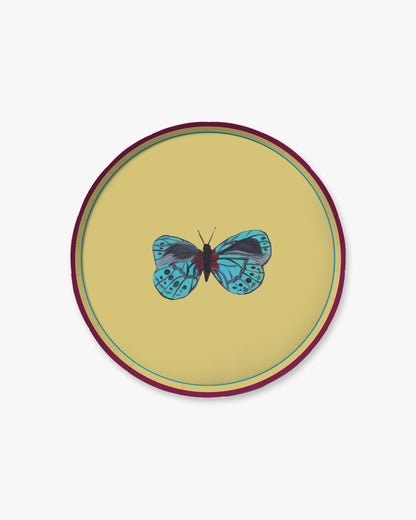 A turquoise butterfly on a chartreuse green background