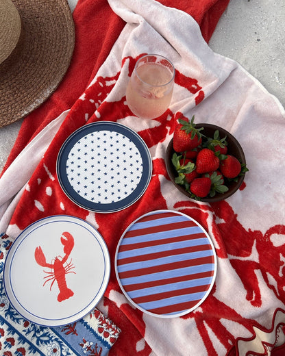 Decorative plates on a beach towel with wine and berries